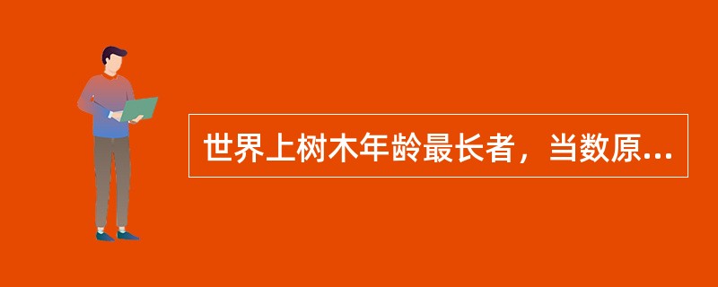 世界上树木年龄最长者，当数原产于我国的（）
