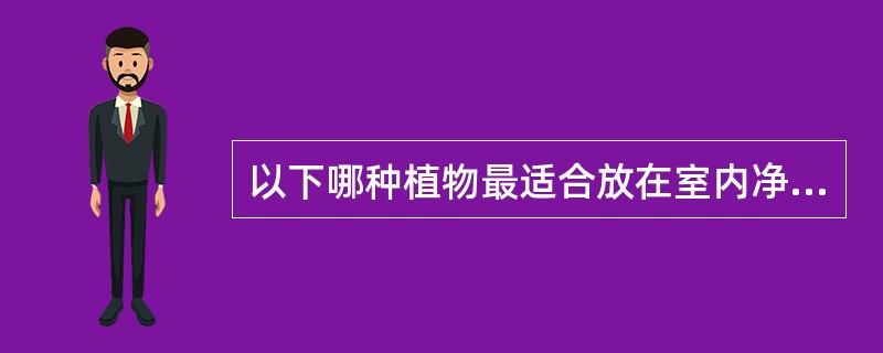 以下哪种植物最适合放在室内净化空气（）