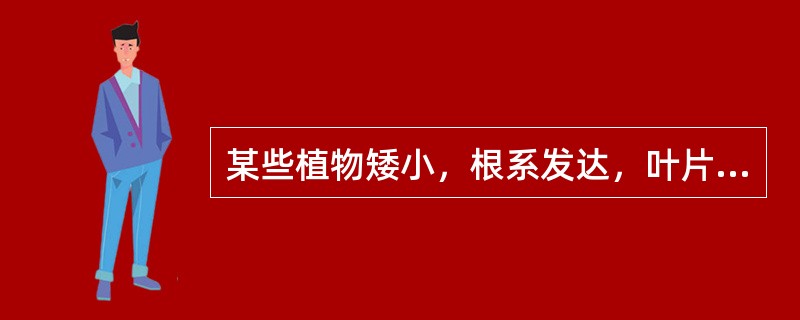 某些植物矮小，根系发达，叶片小而厚，气孔深陷，请问植物可能是（）