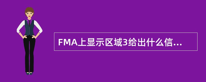 FMA上显示区域3给出什么信息（）。