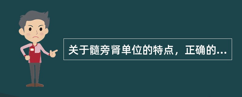 关于髓旁肾单位的特点，正确的是（）