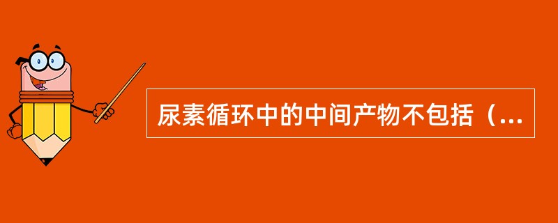 尿素循环中的中间产物不包括（）A.鸟氨酸