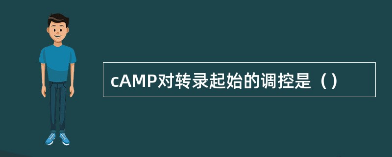 cAMP对转录起始的调控是（）