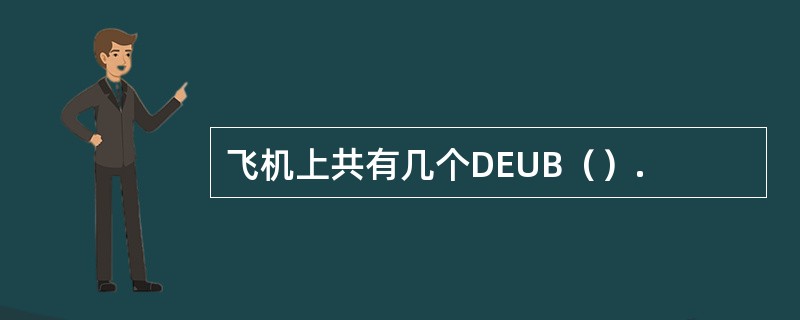 飞机上共有几个DEUB（）.