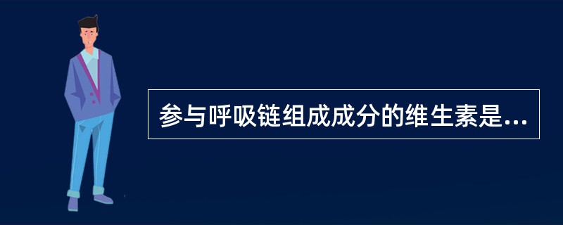 参与呼吸链组成成分的维生素是（）