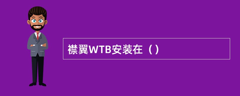 襟翼WTB安装在（）