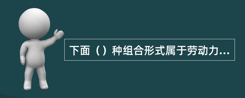 下面（）种组合形式属于劳动力组织形式。