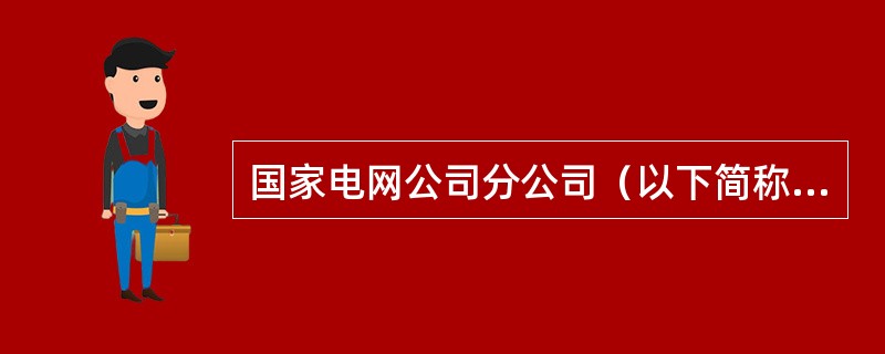 国家电网公司分公司（以下简称国网分公司）、集团公司、省（直辖市、自治区）电力公司