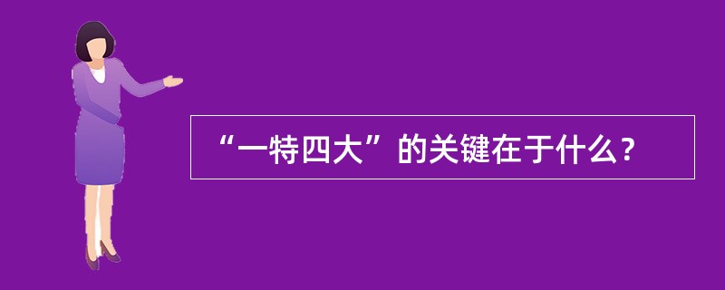 “一特四大”的关键在于什么？