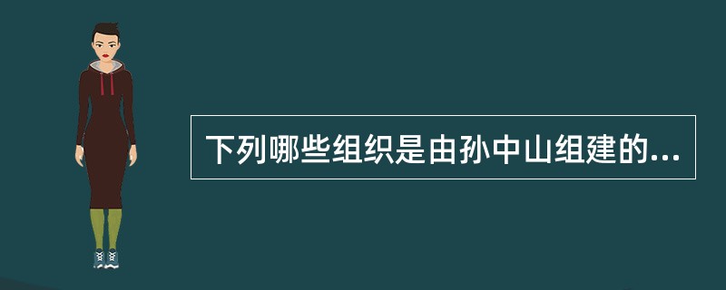 下列哪些组织是由孙中山组建的（）