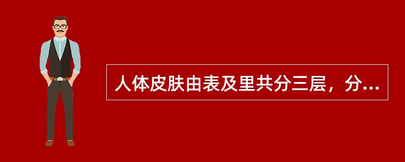 人体皮肤由表及里共分三层，分别叫作表皮、（）、皮下组织。