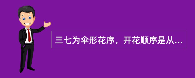 三七为伞形花序，开花顺序是从内逐渐向外开放，果实成熟也是这样。