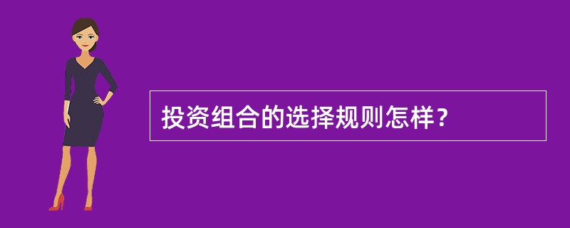 投资组合的选择规则怎样？