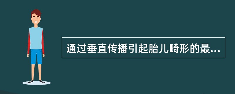 通过垂直传播引起胎儿畸形的最常见病毒是风疹病毒和（）。