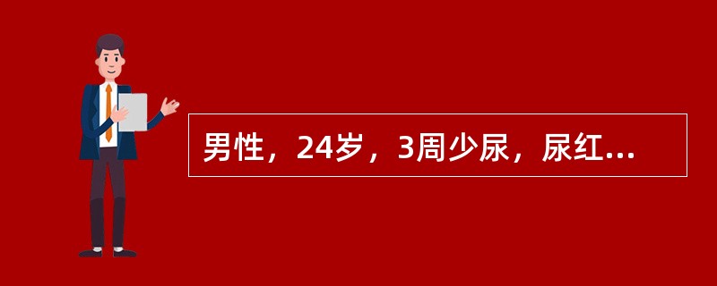 男性，24岁，3周少尿，尿红细胞20～30/高倍视野，尿蛋白（++），BP142