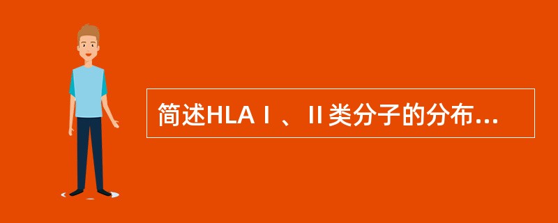 简述HLAⅠ、Ⅱ类分子的分布、结构。