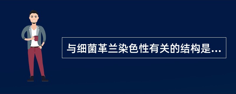 与细菌革兰染色性有关的结构是（）.