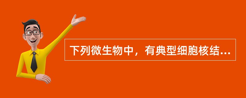 下列微生物中，有典型细胞核结构的是（）。