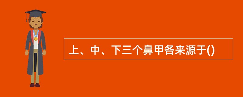 上、中、下三个鼻甲各来源于()