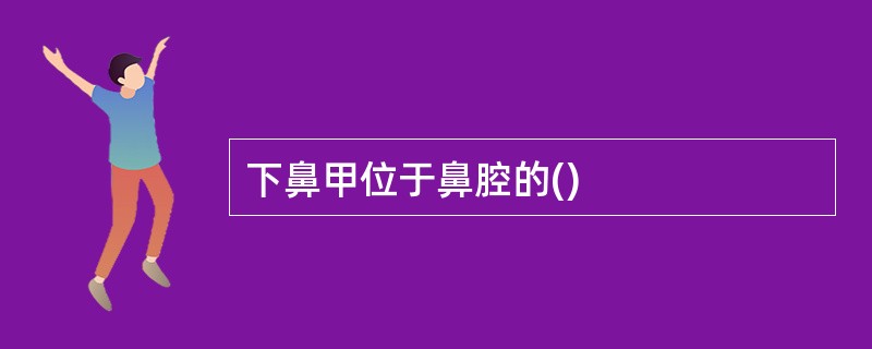 下鼻甲位于鼻腔的()