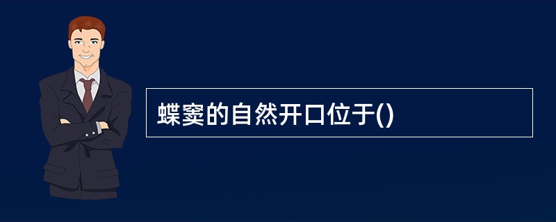 蝶窦的自然开口位于()