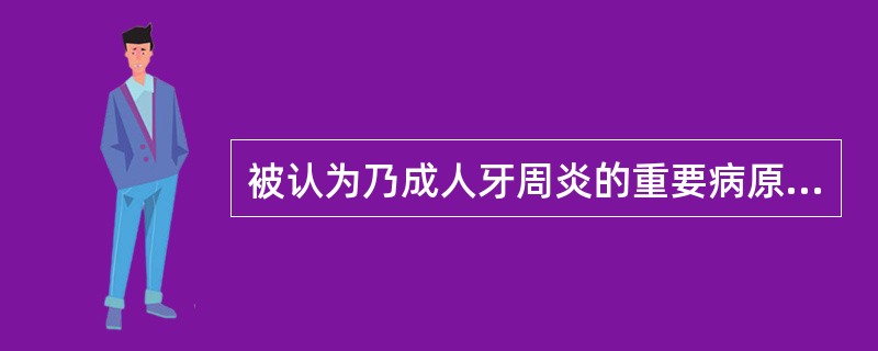 被认为乃成人牙周炎的重要病原菌的为（）。