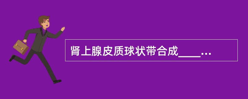 肾上腺皮质球状带合成________，束状带主要合成________，网状带主要