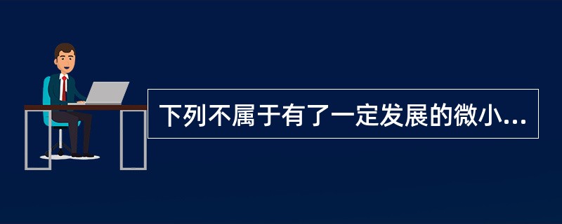 下列不属于有了一定发展的微小企业具备的特征是（）。