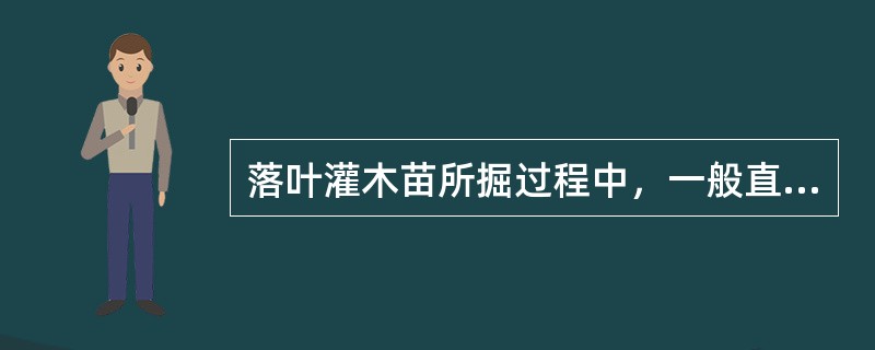 落叶灌木苗所掘过程中，一般直径（）厘米以上的根用枝剪剪断，不可以用平板铲铲断。