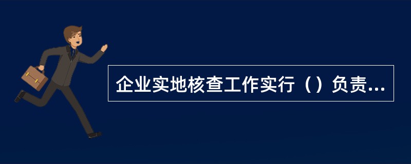 企业实地核查工作实行（）负责制。