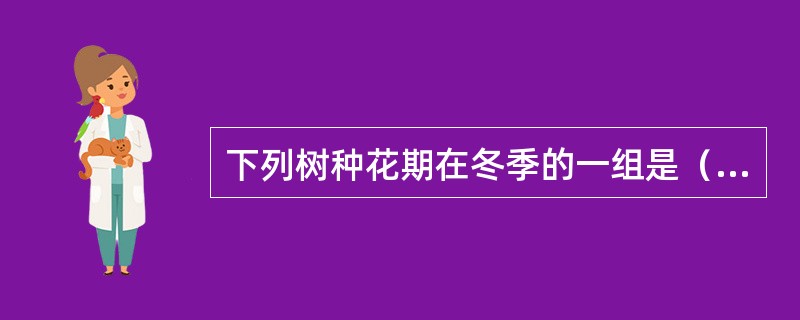 下列树种花期在冬季的一组是（）。