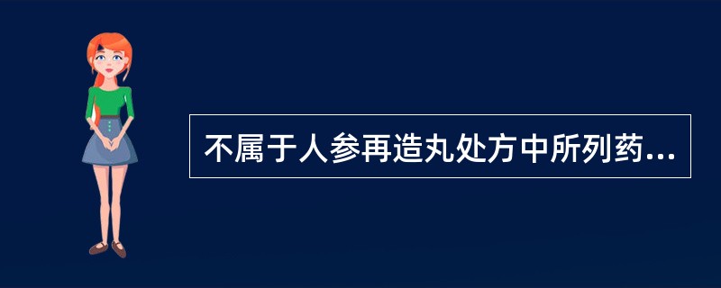 不属于人参再造丸处方中所列药的是（）