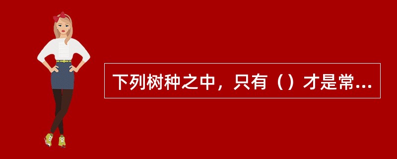 下列树种之中，只有（）才是常绿阔叶类树种。