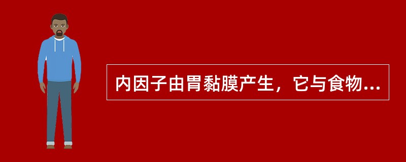 内因子由胃黏膜产生，它与食物中的维生素B12结合在胃内吸收，缺乏内因子可导致巨幼