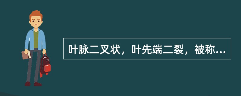 叶脉二叉状，叶先端二裂，被称为活化石植物的落叶乔木是（）。