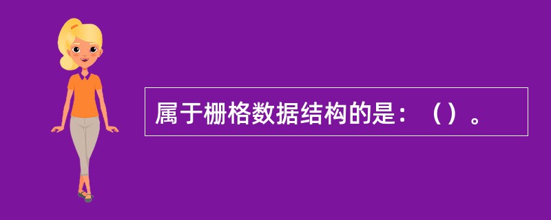 属于栅格数据结构的是：（）。