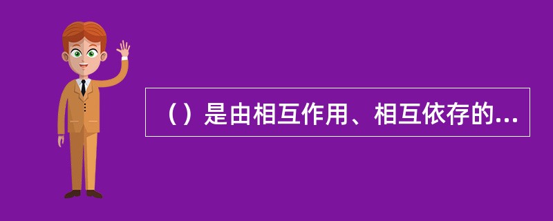 （）是由相互作用、相互依存的人和及其两个子系统组成的，且能完成特定目标的一个整体