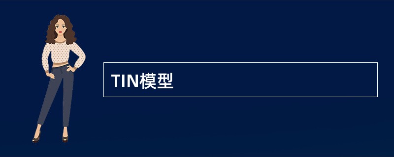 TIN模型
