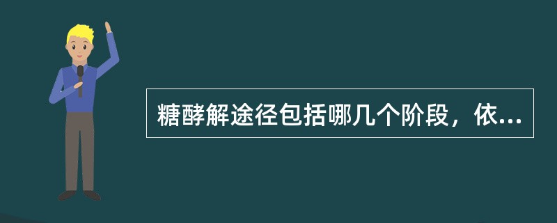 糖酵解途径包括哪几个阶段，依次分别为（）