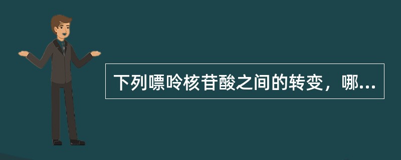 下列嘌呤核苷酸之间的转变，哪项是不能直接进行的（）