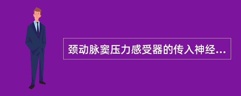 颈动脉窦压力感受器的传入神经是（）。