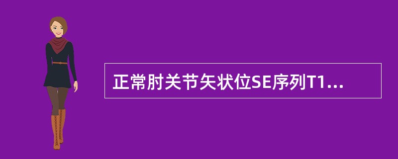 正常肘关节矢状位SE序列T1加权像显示（）