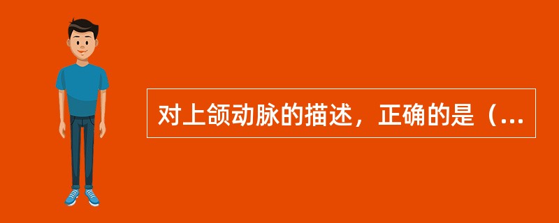 对上颌动脉的描述，正确的是（）。