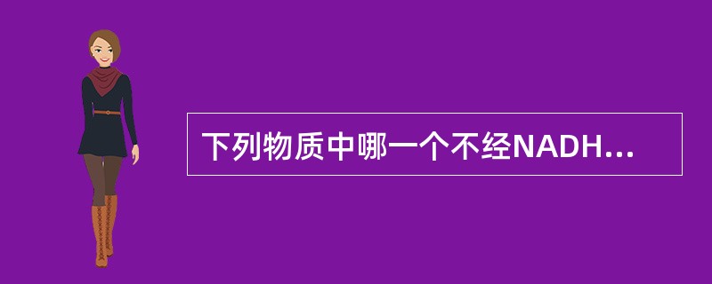下列物质中哪一个不经NADH氧化呼吸链氧化（）