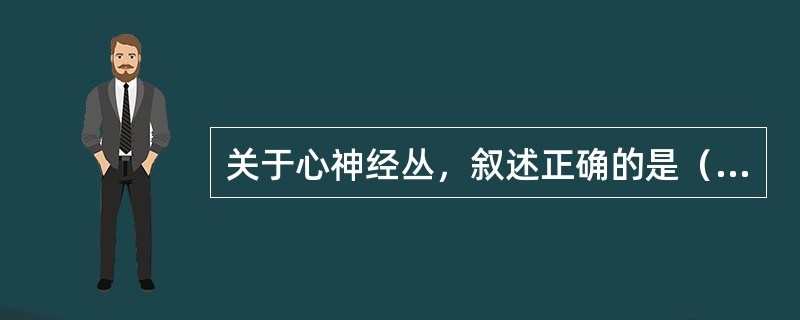 关于心神经丛，叙述正确的是（）。