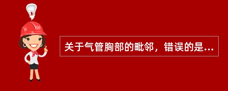 关于气管胸部的毗邻，错误的是（）。