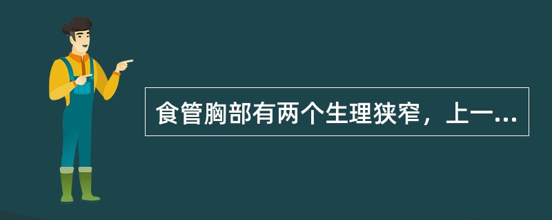 食管胸部有两个生理狭窄，上一个狭窄位于（）。