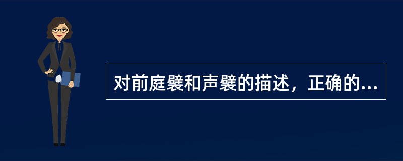 对前庭襞和声襞的描述，正确的是（）。