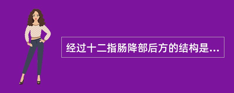 经过十二指肠降部后方的结构是（）。