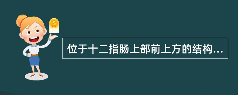 位于十二指肠上部前上方的结构是（）。